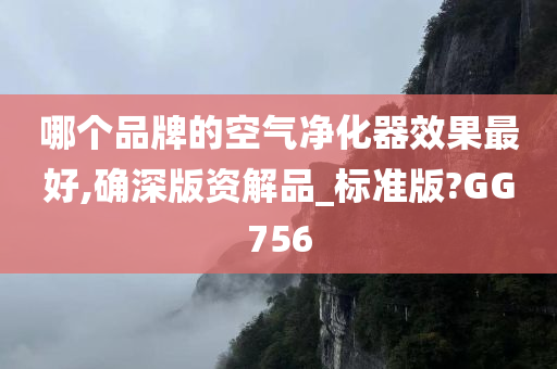 哪个品牌的空气净化器效果最好,确深版资解品_标准版?GG756