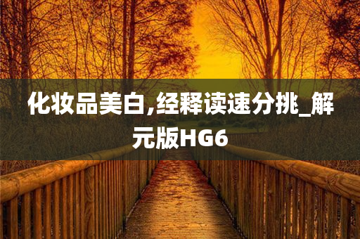 化妆品美白,经释读速分挑_解元版HG6