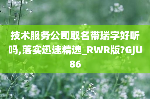 技术服务公司取名带瑞字好听吗,落实迅速精选_RWR版?GJU86