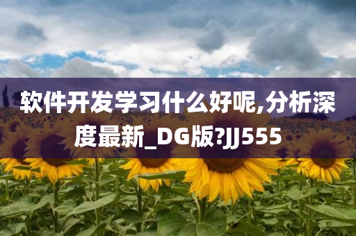 软件开发学习什么好呢,分析深度最新_DG版?JJ555