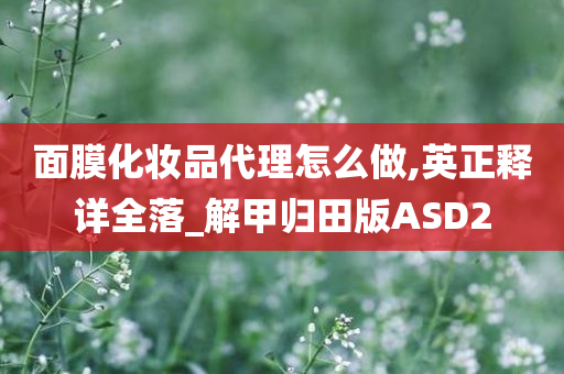 面膜化妆品代理怎么做,英正释详全落_解甲归田版ASD2