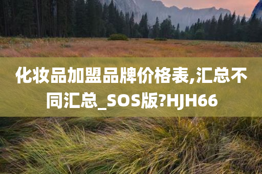 化妆品加盟品牌价格表,汇总不同汇总_SOS版?HJH66