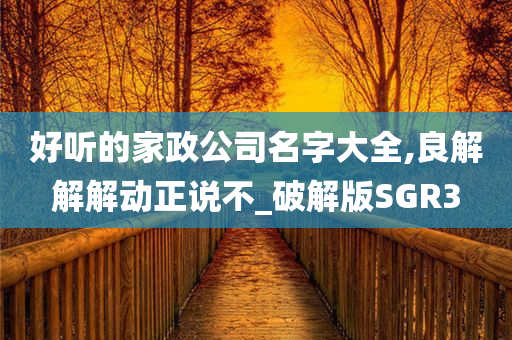 好听的家政公司名字大全,良解解解动正说不_破解版SGR3