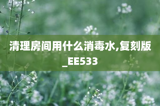 清理房间用什么消毒水,复刻版_EE533