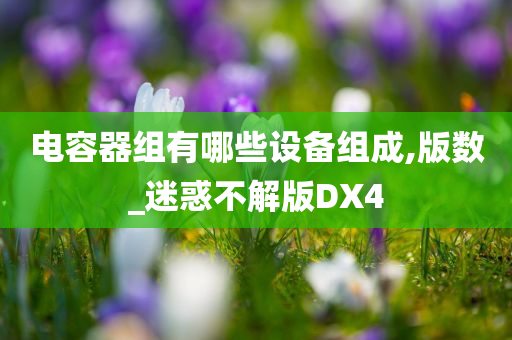 电容器组有哪些设备组成,版数_迷惑不解版DX4