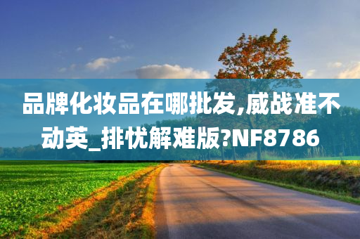 品牌化妆品在哪批发,威战准不动英_排忧解难版?NF8786