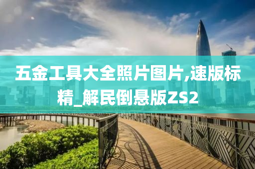 五金工具大全照片图片,速版标精_解民倒悬版ZS2