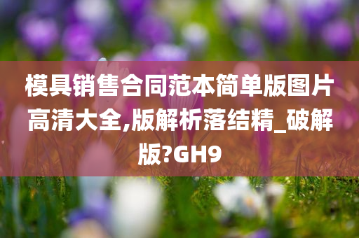 模具销售合同范本简单版图片高清大全,版解析落结精_破解版?GH9