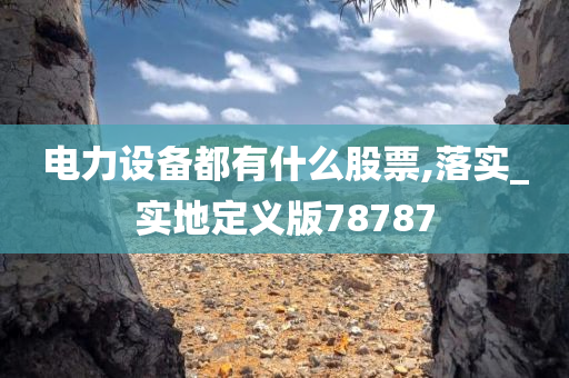 电力设备都有什么股票,落实_实地定义版78787