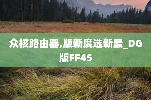 众核路由器,版新度选新最_DG版FF45