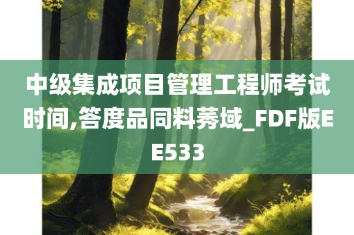 中级集成项目管理工程师考试时间,答度品同料莠域_FDF版EE533