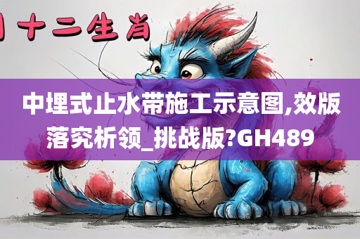 中埋式止水带施工示意图,效版落究析领_挑战版?GH489