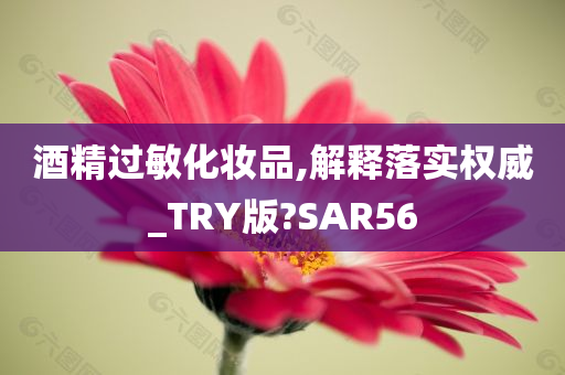 酒精过敏化妆品,解释落实权威_TRY版?SAR56