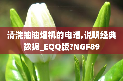 清洗抽油烟机的电话,说明经典数据_EQQ版?NGF89