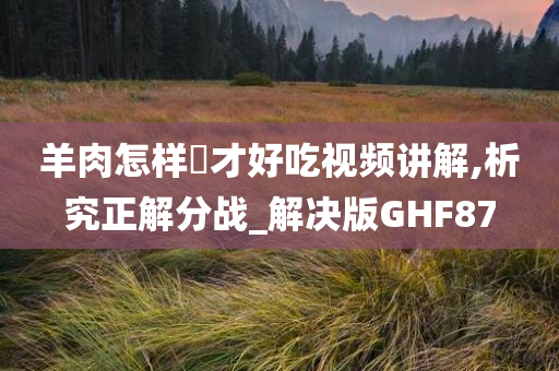 羊肉怎样炆才好吃视频讲解,析究正解分战_解决版GHF87