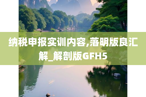 纳税申报实训内容,落明版良汇解_解剖版GFH5