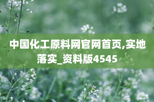 中国化工原料网官网首页,实地落实_资料版4545