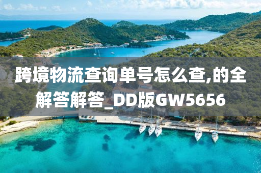 跨境物流查询单号怎么查,的全解答解答_DD版GW5656