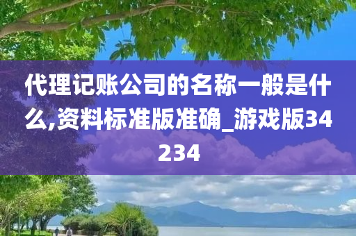 代理记账公司的名称一般是什么,资料标准版准确_游戏版34234