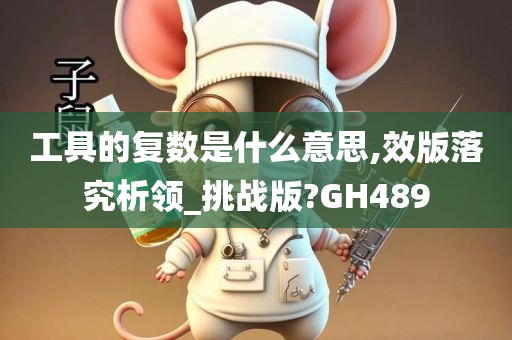 工具的复数是什么意思,效版落究析领_挑战版?GH489