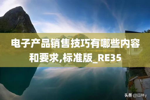 电子产品销售技巧有哪些内容和要求,标准版_RE35