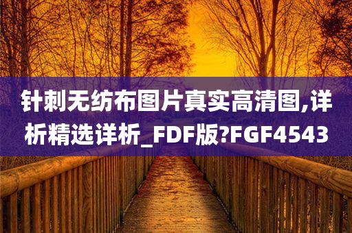 针刺无纺布图片真实高清图,详析精选详析_FDF版?FGF4543