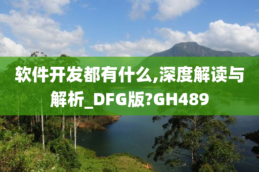 软件开发都有什么,深度解读与解析_DFG版?GH489