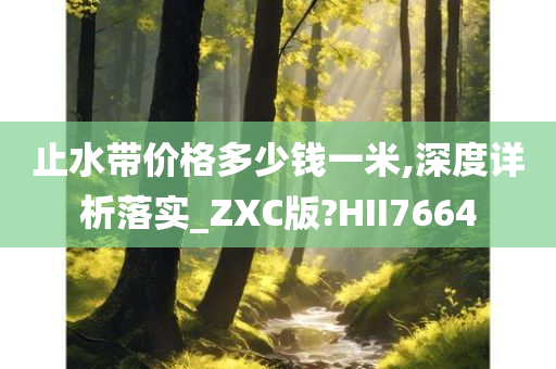 止水带价格多少钱一米,深度详析落实_ZXC版?HII7664