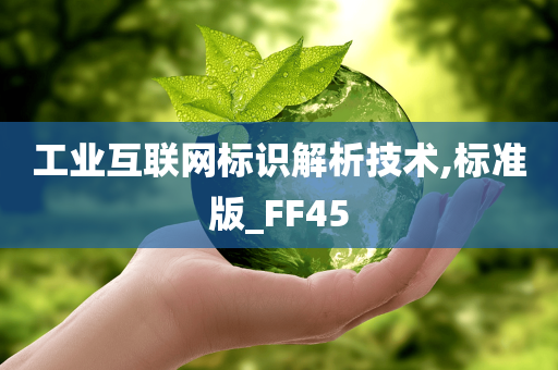 工业互联网标识解析技术,标准版_FF45