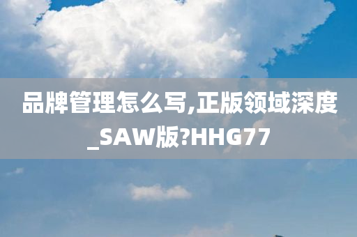 品牌管理怎么写,正版领域深度_SAW版?HHG77