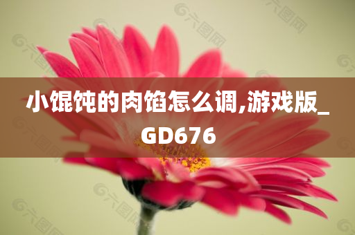 小馄饨的肉馅怎么调,游戏版_GD676