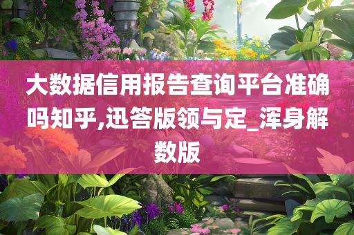 大数据信用报告查询平台准确吗知乎,迅答版领与定_浑身解数版