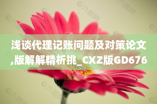 浅谈代理记账问题及对策论文,版解解精析挑_CXZ版GD676