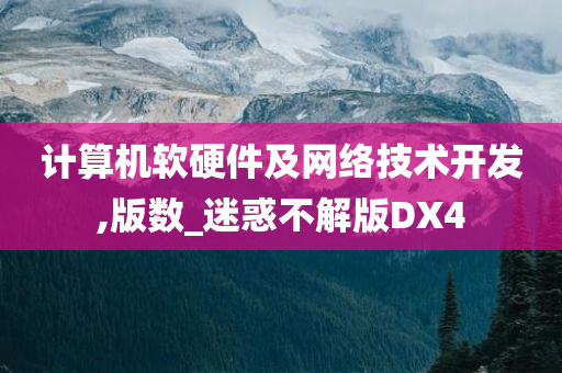 计算机软硬件及网络技术开发,版数_迷惑不解版DX4