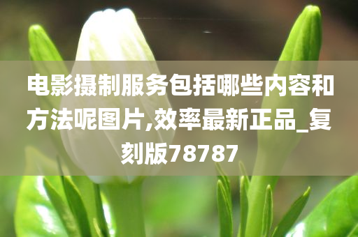 电影摄制服务包括哪些内容和方法呢图片,效率最新正品_复刻版78787