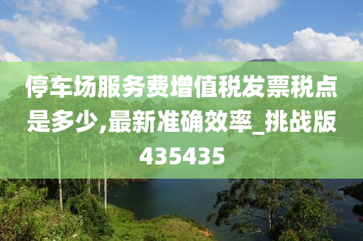 停车场服务费增值税发票税点是多少,最新准确效率_挑战版435435