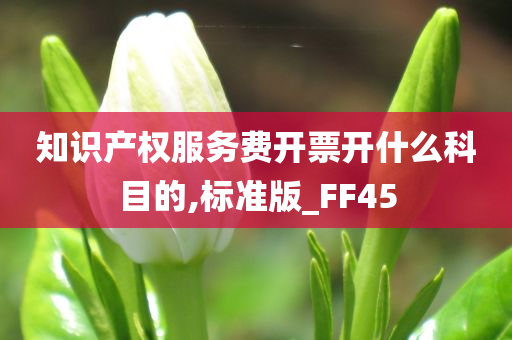 知识产权服务费开票开什么科目的,标准版_FF45