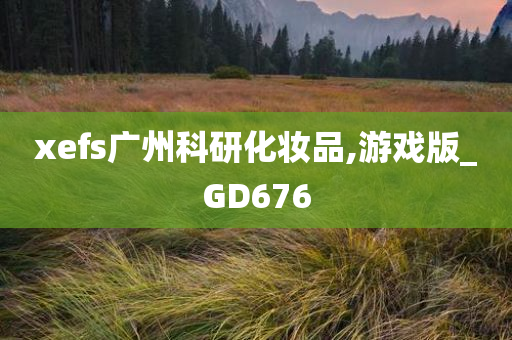 xefs广州科研化妆品,游戏版_GD676