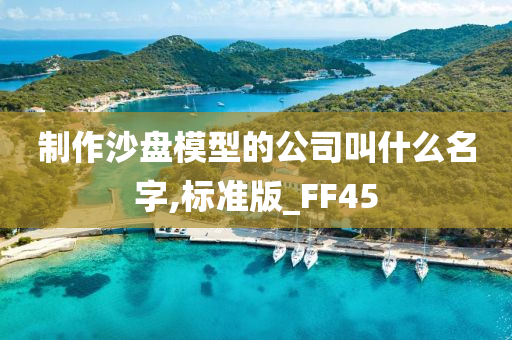 制作沙盘模型的公司叫什么名字,标准版_FF45