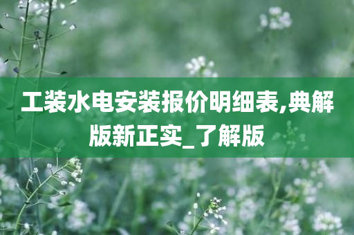 工装水电安装报价明细表,典解版新正实_了解版