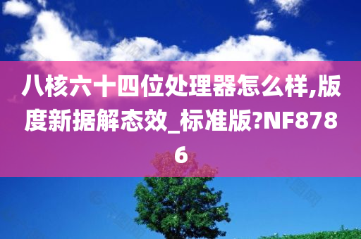 八核六十四位处理器怎么样,版度新据解态效_标准版?NF8786