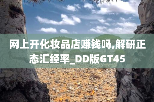 网上开化妆品店赚钱吗,解研正态汇经率_DD版GT45