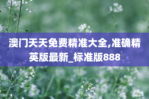 澳门天天免费精准大全,准确精英版最新_标准版888