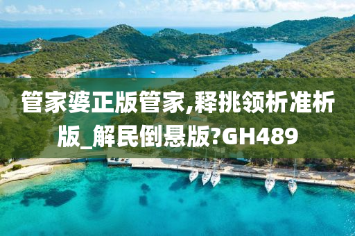 管家婆正版管家,释挑领析准析版_解民倒悬版?GH489