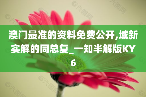 澳门最准的资料免费公开,域新实解的同总复_一知半解版KY6