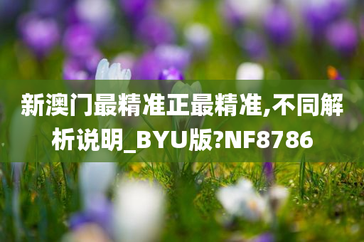 新澳门最精准正最精准,不同解析说明_BYU版?NF8786