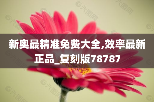 新奥最精准免费大全,效率最新正品_复刻版78787