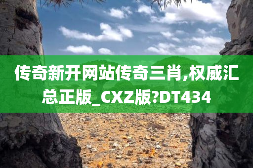 传奇新开网站传奇三肖,权威汇总正版_CXZ版?DT434