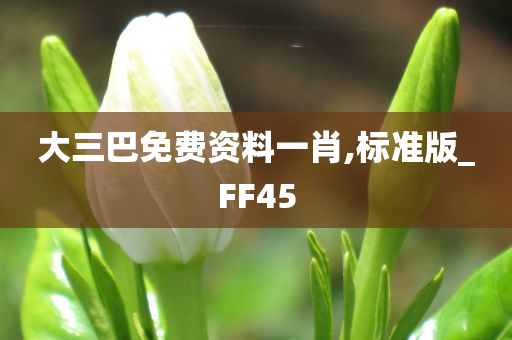 大三巴免费资料一肖,标准版_FF45