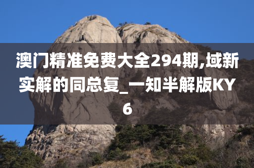 澳门精准免费大全294期,域新实解的同总复_一知半解版KY6